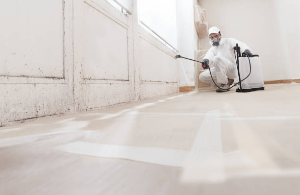 24/7 Emergency Attic Mold Remediation experts in Queen Creek, AZ